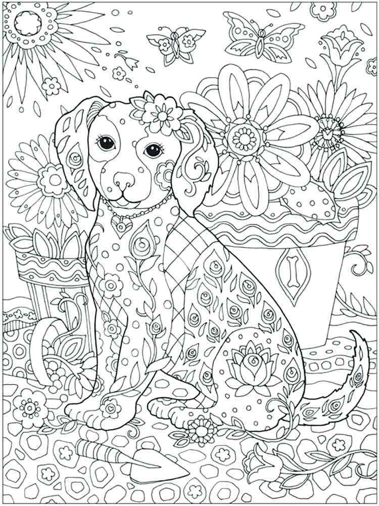 Detailed Animal Coloring Pages For Adults At GetColorings Free 