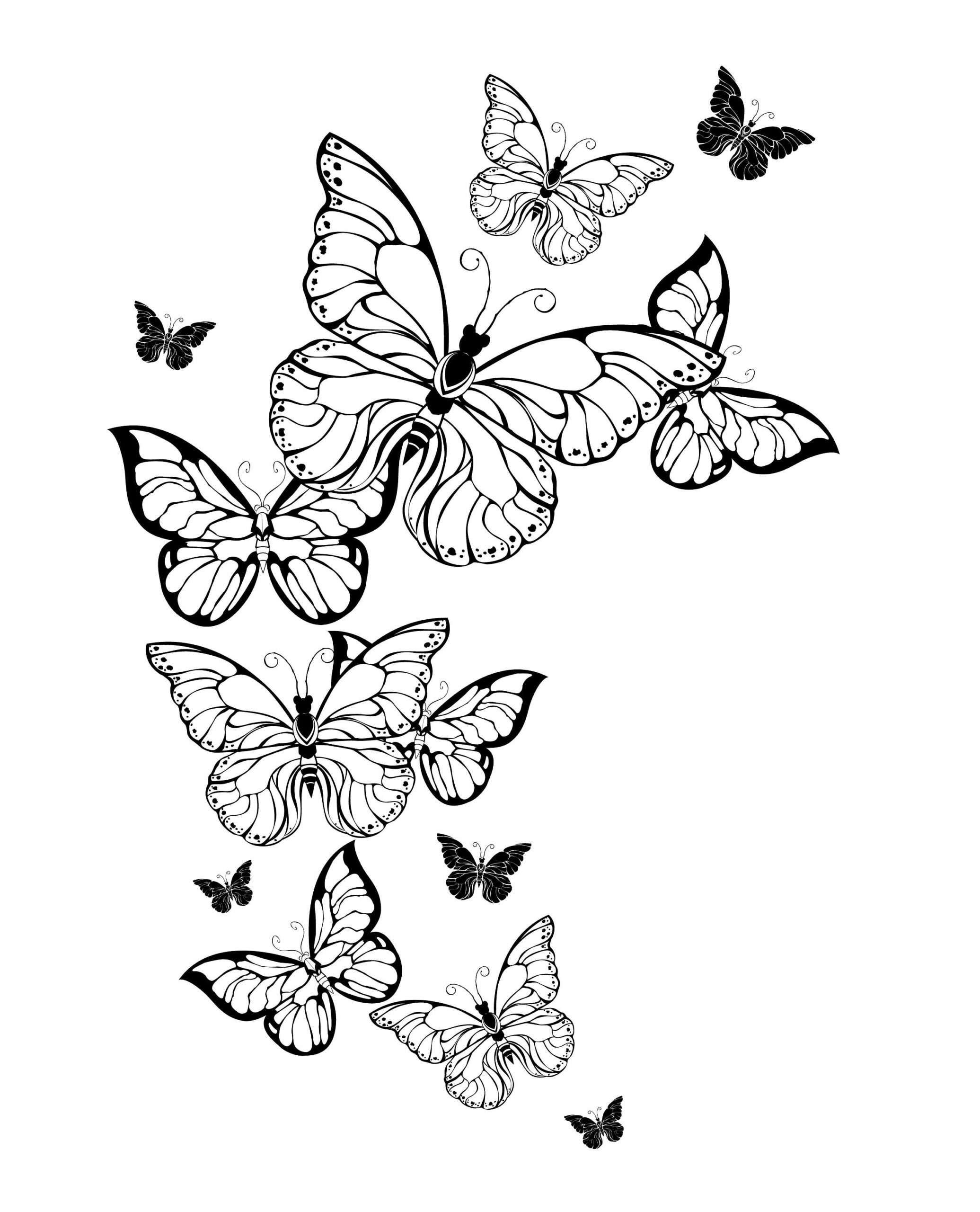 Detailed Butterfly Coloring Pages For Adults