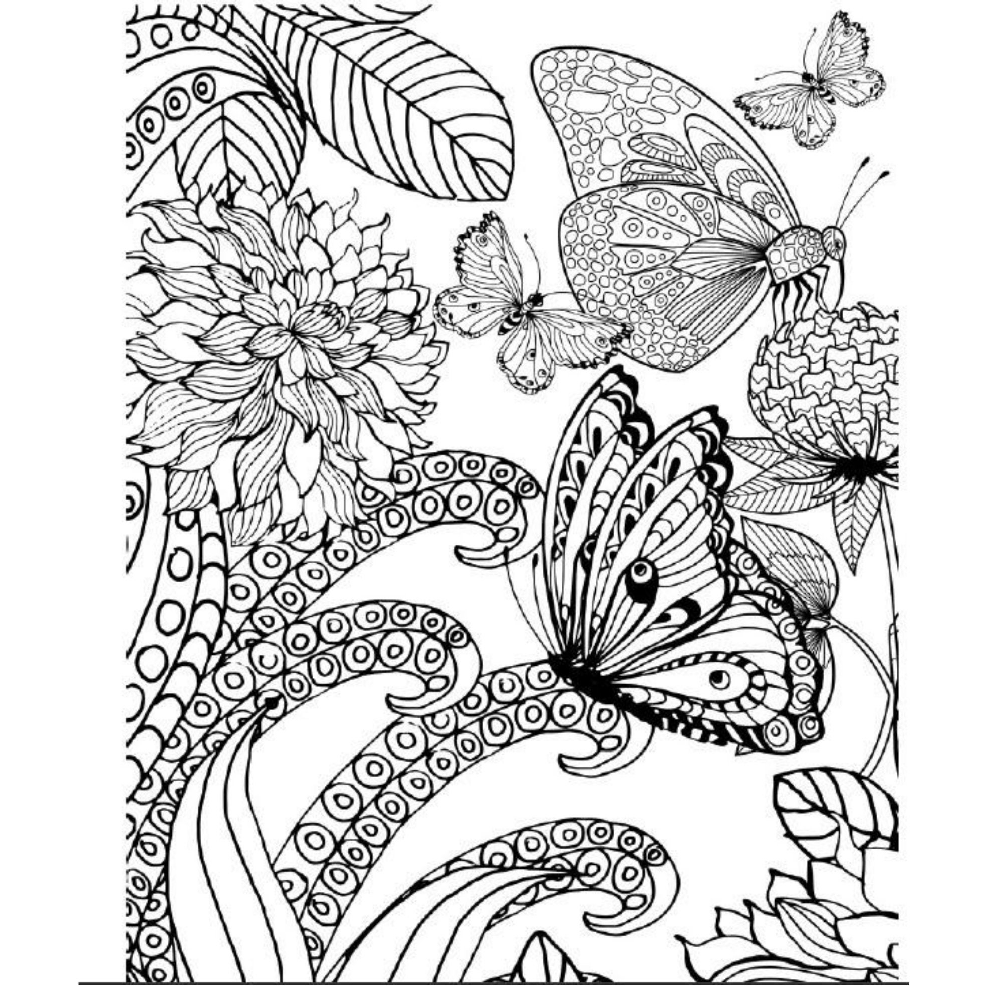 Free Printable Butterfly Coloring Pages For Adults