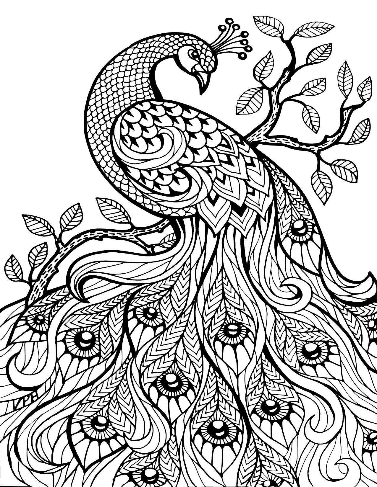 Free Printable Coloring Pages For Adults Only Image 36 Art Davlin
