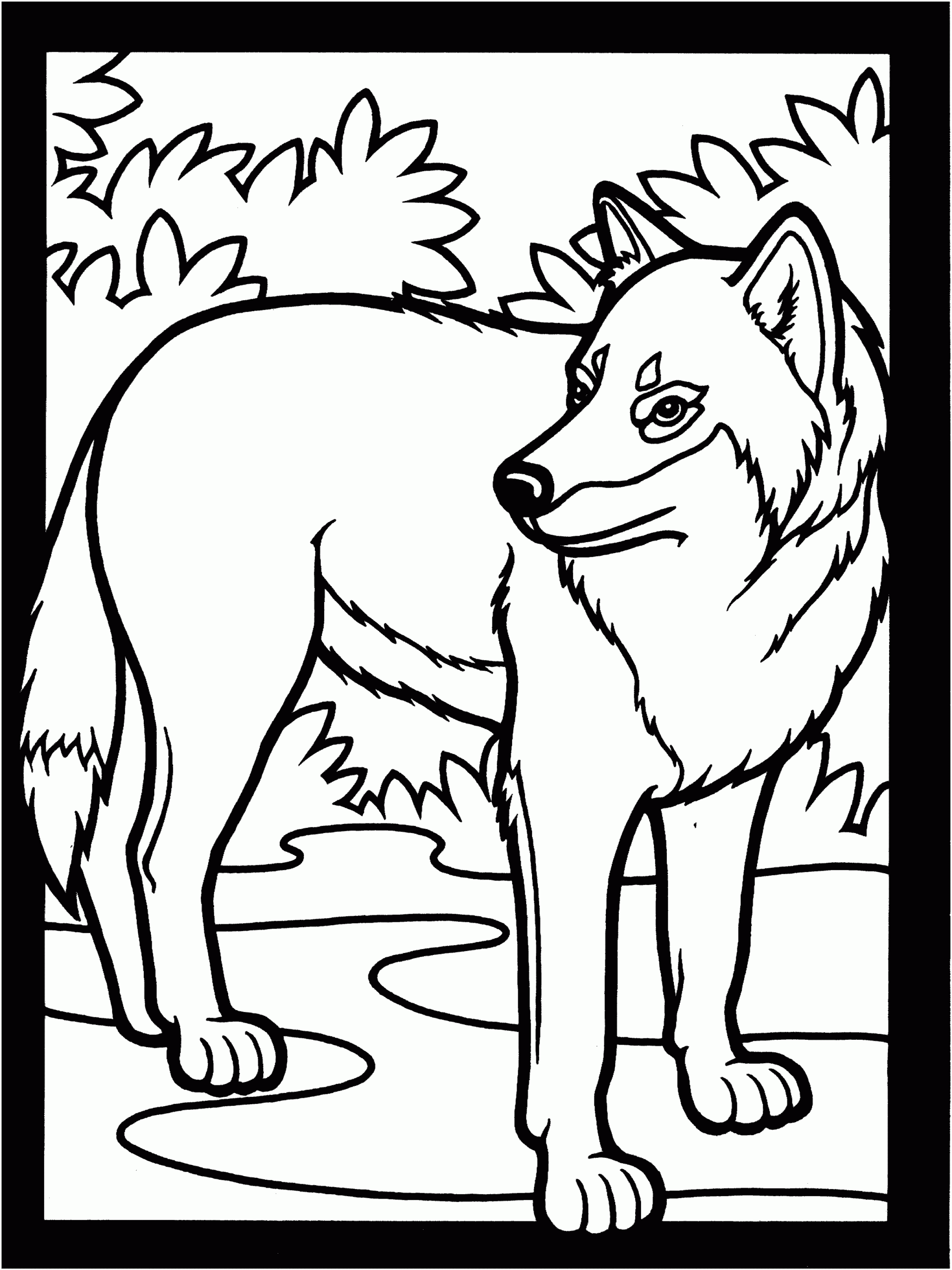 Free Wolf Coloring Pages Free Wolf Coloring Pages