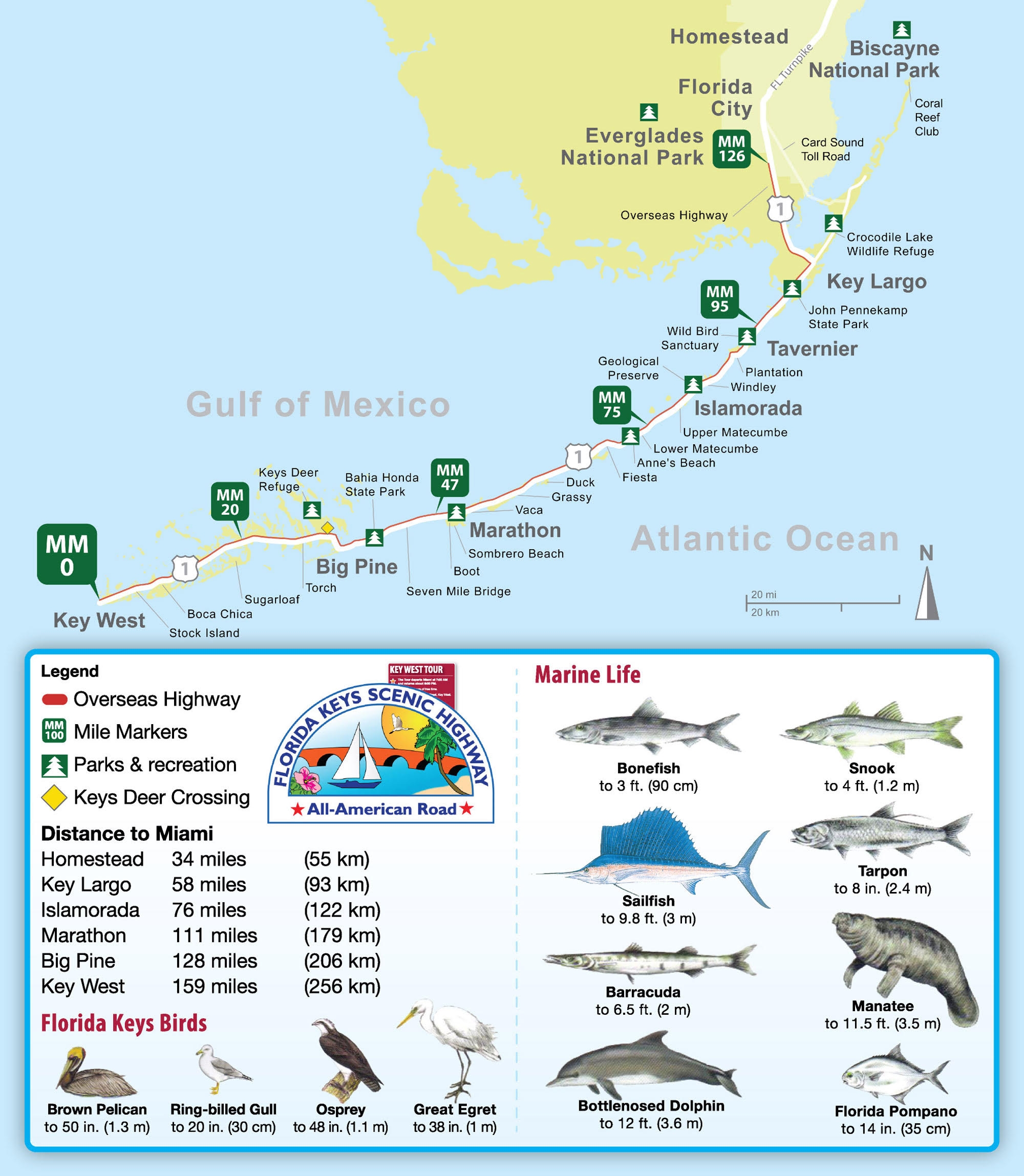 Key West Landmarks Map Discover Key West Like A Local Insider