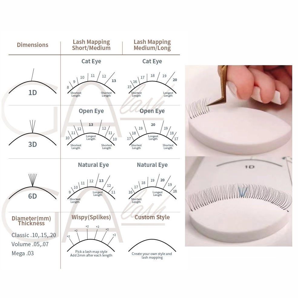 Lash Mapping Dimension Chart Lash Sponges GAlash