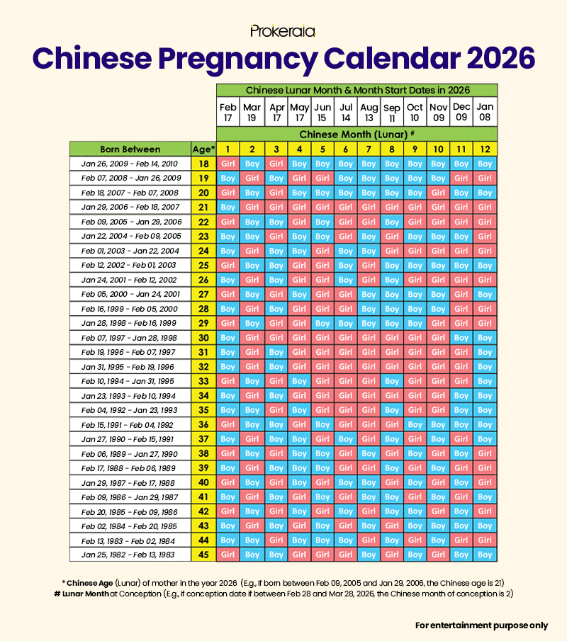 Chinese Gender Predictor